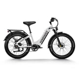 HIMIWAY D5 ST (Zebra ST) 26" Fat Tire All-terrain Vélo électrique 750W Moteur 48V 20Ah Batterie