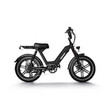 Himiway Escape Pro 20" Vélo électrique de type cyclomoteur longue portée Moteur 750 W Batterie 48 V 17,5 Ah