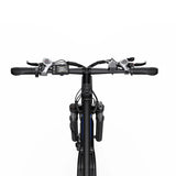 DUOTTS C29-L 29" VTT électrique 750W Moteur 48V 15Ah Batterie