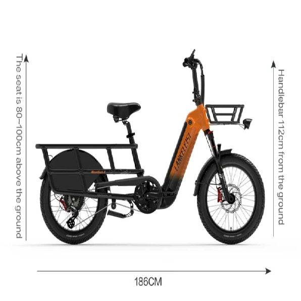 LANKELEISI Wombat-1 20" Vélo cargo électrique Moteur 1000W 48V 20Ah Batterie