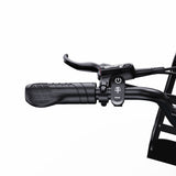 ONESPORT OT01 20" Vélo électrique Step-Through Longtail Cargo 650W Moteur 48V 27Ah Batterie