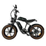 PVY X20 20" Fat Tire Vélo tout-terrain électrique 250W Moteur 48V 30Ah Batterie