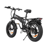 Ridstar H20 Pro 20'' Folding Electric Bike 2000W Motor