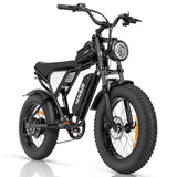 Ridstar-Q20-Lite-Fat-Tires-Vélo-électrique-1000W-Moteur-48V-15Ah-Batterie-noir