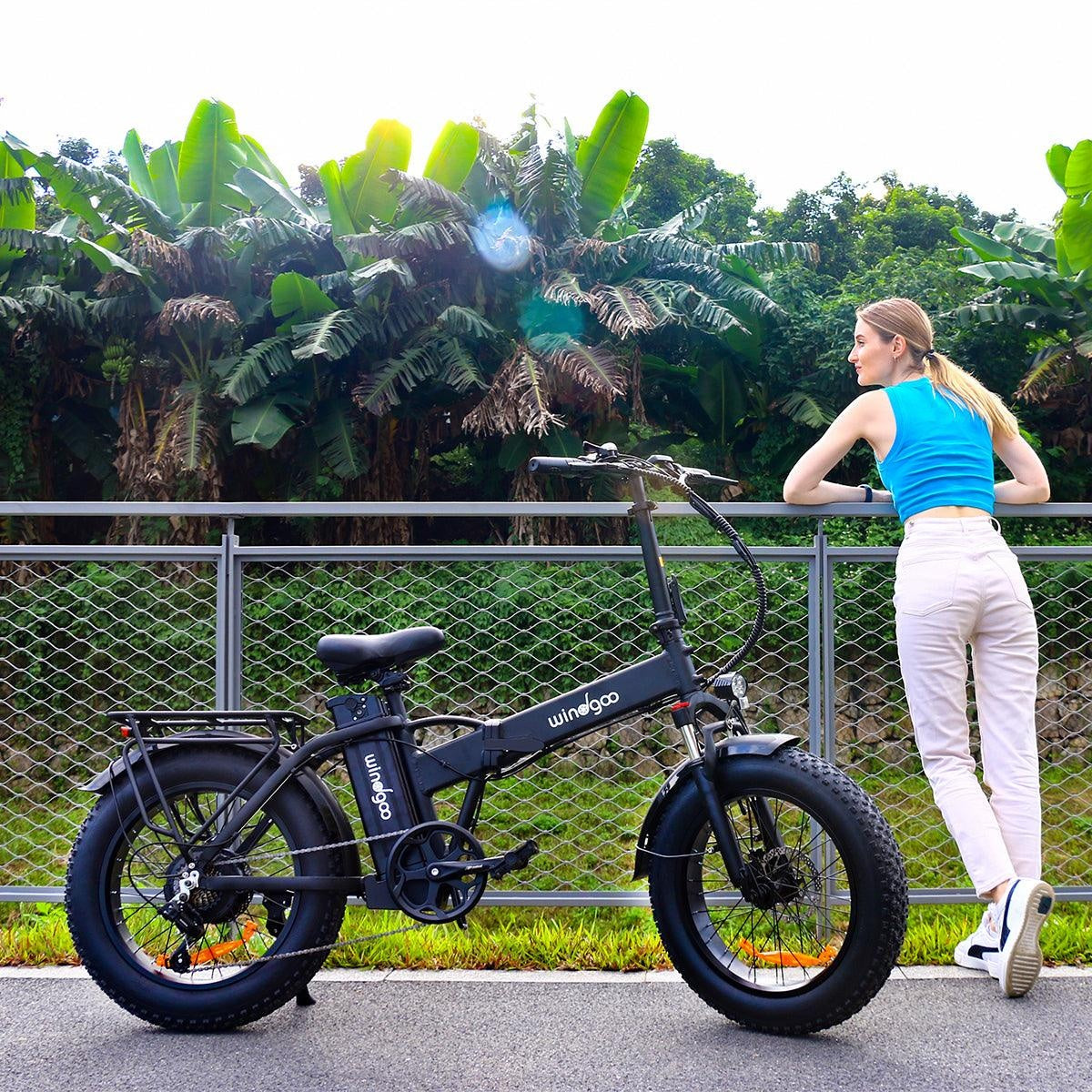 WINDGOO F21 PRO 20" Vélo Électrique Pliant 250W Moteur 48V 12.5Ah Batterie