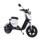 BEZIOR XIAONIU B 20" Electric Bike 1500W Moteur 48V 20Ah Batterie